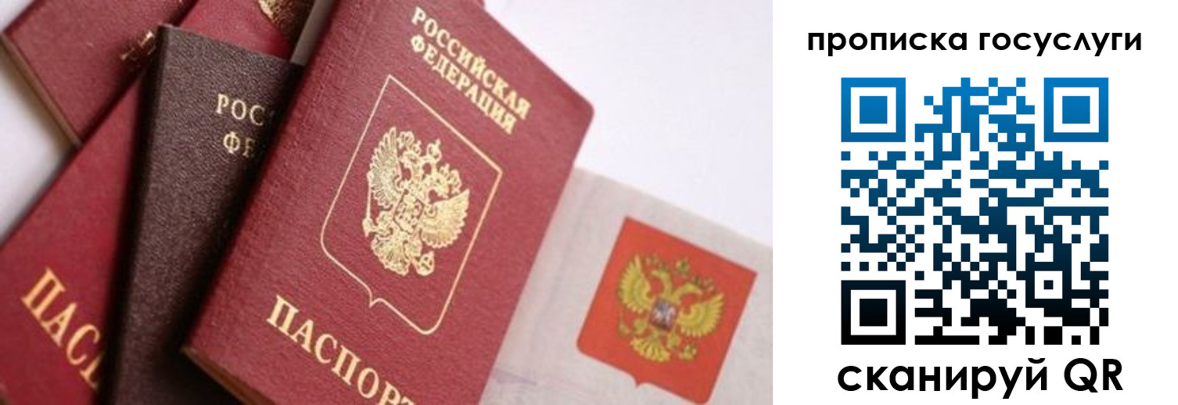 прописка законно в Нязепетровске